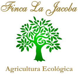 Logotipo de una empresa que elabora aceite ecológico.